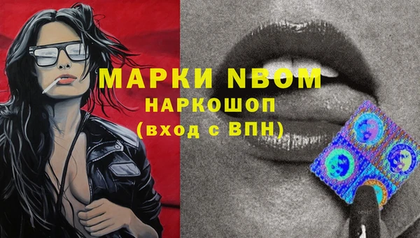 эйфоретик Новокубанск