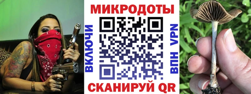 Псилоцибиновые грибы Psilocybine cubensis  Купить закладки  Абдулино 